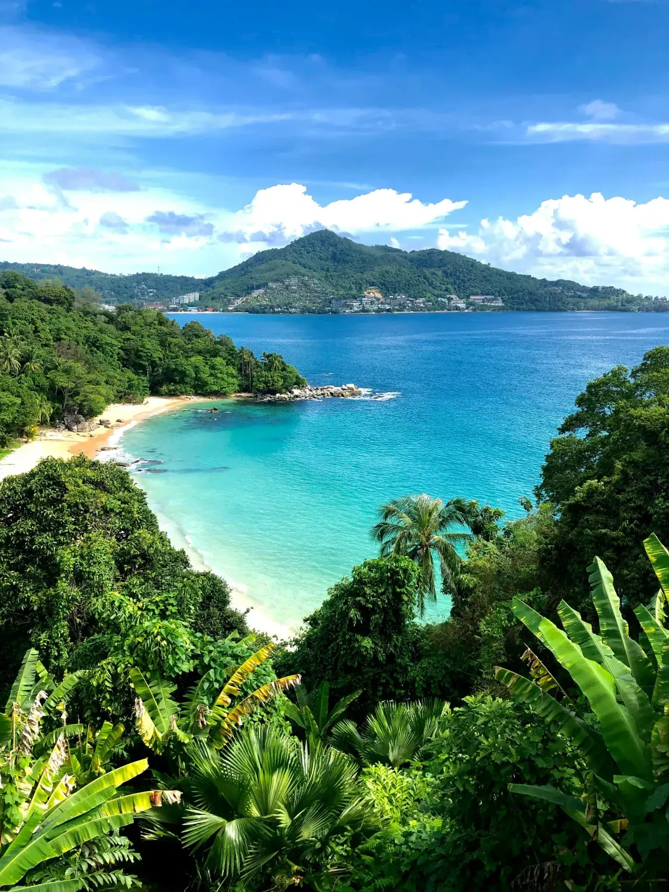 Quiet Koh Samui beach with shallow water, palm trees, and a distant longtail boat.
