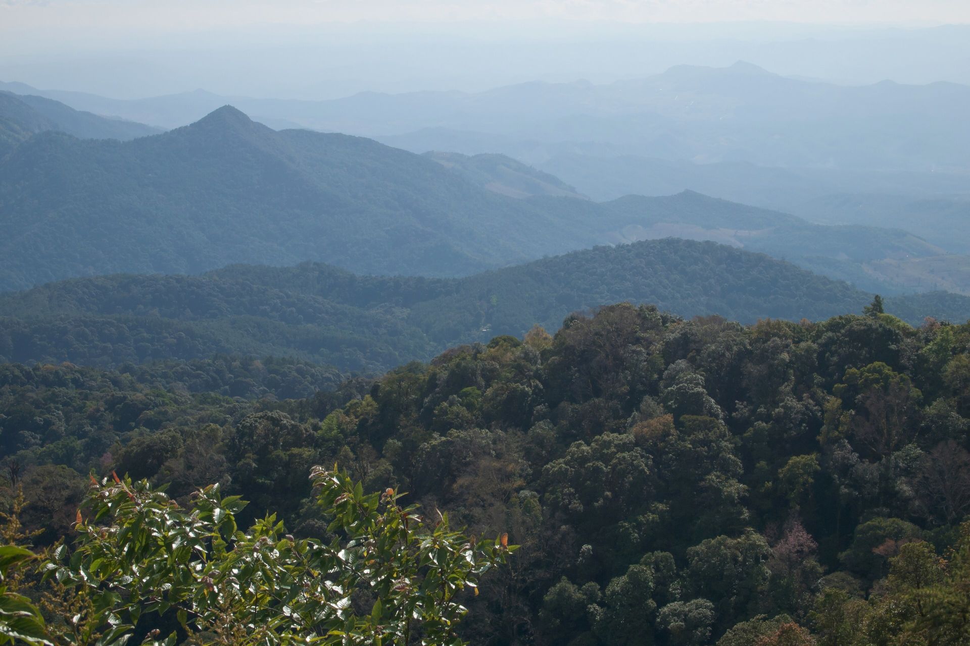 Printed itinerary, tea, and umbrella on a wooden table overlooking a temple and green hills.